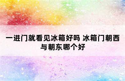 一进门就看见冰箱好吗 冰箱门朝西与朝东哪个好